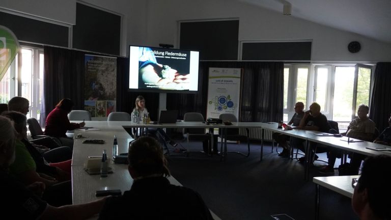 Vergrösserung Fortbildung zu den Fledermäusen, deren Lebensräume und die Arten, die in der Vulkaneifel leben. Dabei Bestandteil: Wohnraum in Gebäuden, der durch Gebäudesanierung weg fällt und Möglichkeiten, dies auszugleichen.