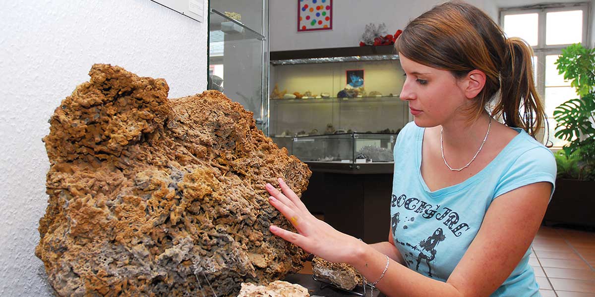 Fossilien im Naturkundemuseum Gerolstein