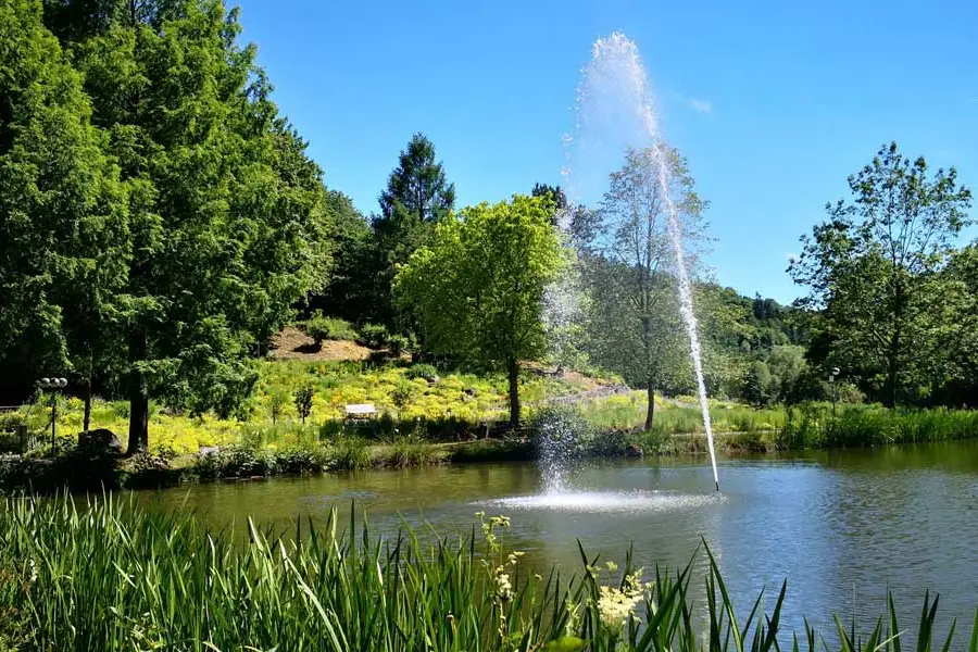 Fontäne am Teich