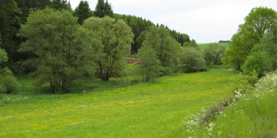 Wanderweg Stadtkyll © Touristik GmbH Gerolsteiner Land Wanderweg Stadtkyll