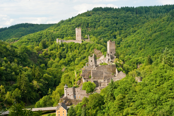 Blick auf die Manderscheider Burgen