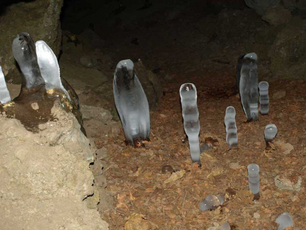 Eishöhlen Birresborn
