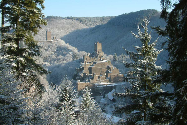 Manderscheider Burgen