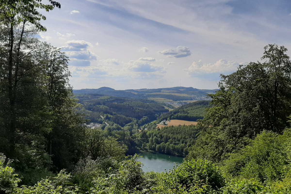 Blick auf das Gemündener Maar