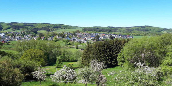Blick über das Kelberger Land