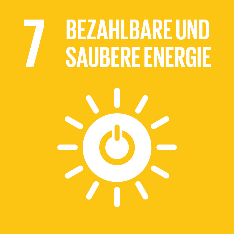 sdg image 13