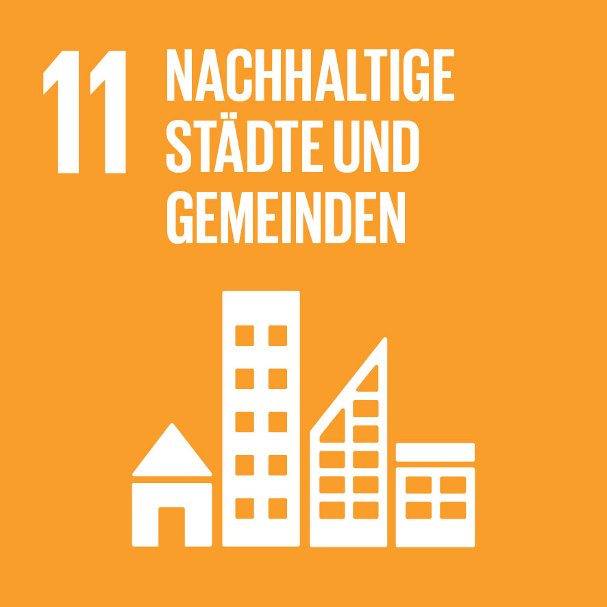 sdg image 13