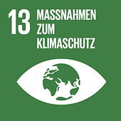 sdg image 13
